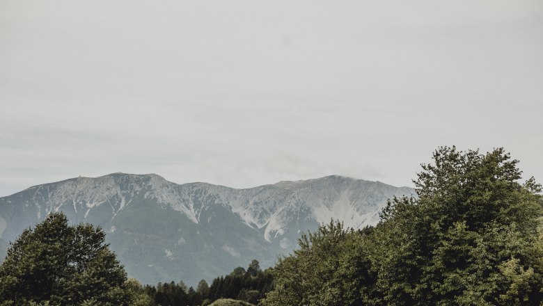 Snow mountain view, © Niederösterreich Werbung/Sophie Menegaldo View of the Schneeberg with green trees in the foreground.