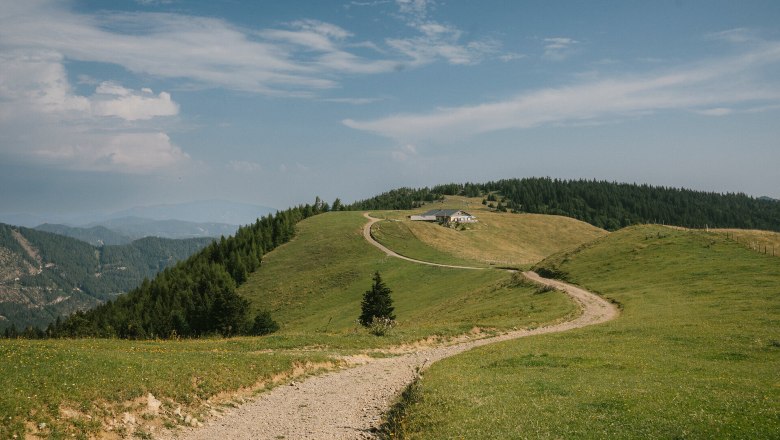 Almreserlhaus, Schneeberg, hut, Schneebergland, Vienna Alps in Lower Austria, © Wiener Alpen/Sophie Menegaldo Hiking trail through the alpine meadows with a view of the Almreserlhaus on Schneeberg