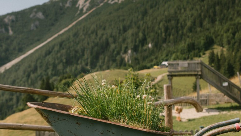 Almreserlhaus, Schneeberg, hut, Schneebergland, Vienna Alps in Lower Austria, © Wiener Alpen/Sophie Menegaldo A wheelbarrow filled with plants as decoration, set against a mountain panorama, at the Almreserlhaus on the Schneeberg