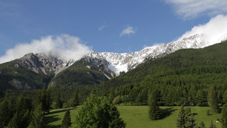 View of the Schneeberg, © Haus Lenz View of snow-covered mountains with green forests in the foreground and a blue sky.