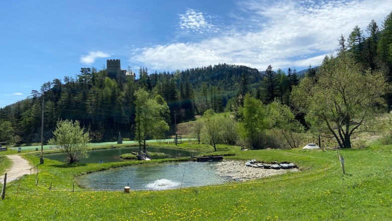 Relaxing by the water for Forellenhof guests, © Wiener Alpen Landscape with pond, meadow and castle in the background.