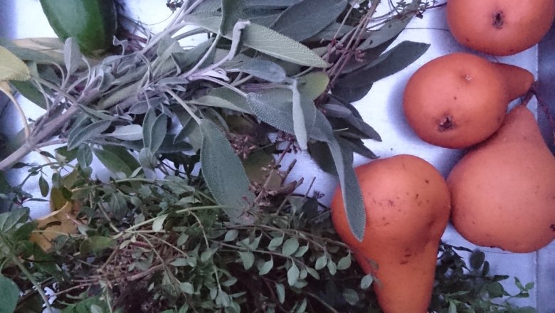 Herb and snack garden, © Scheibenreif Karin Various herbs and pears on a table.
