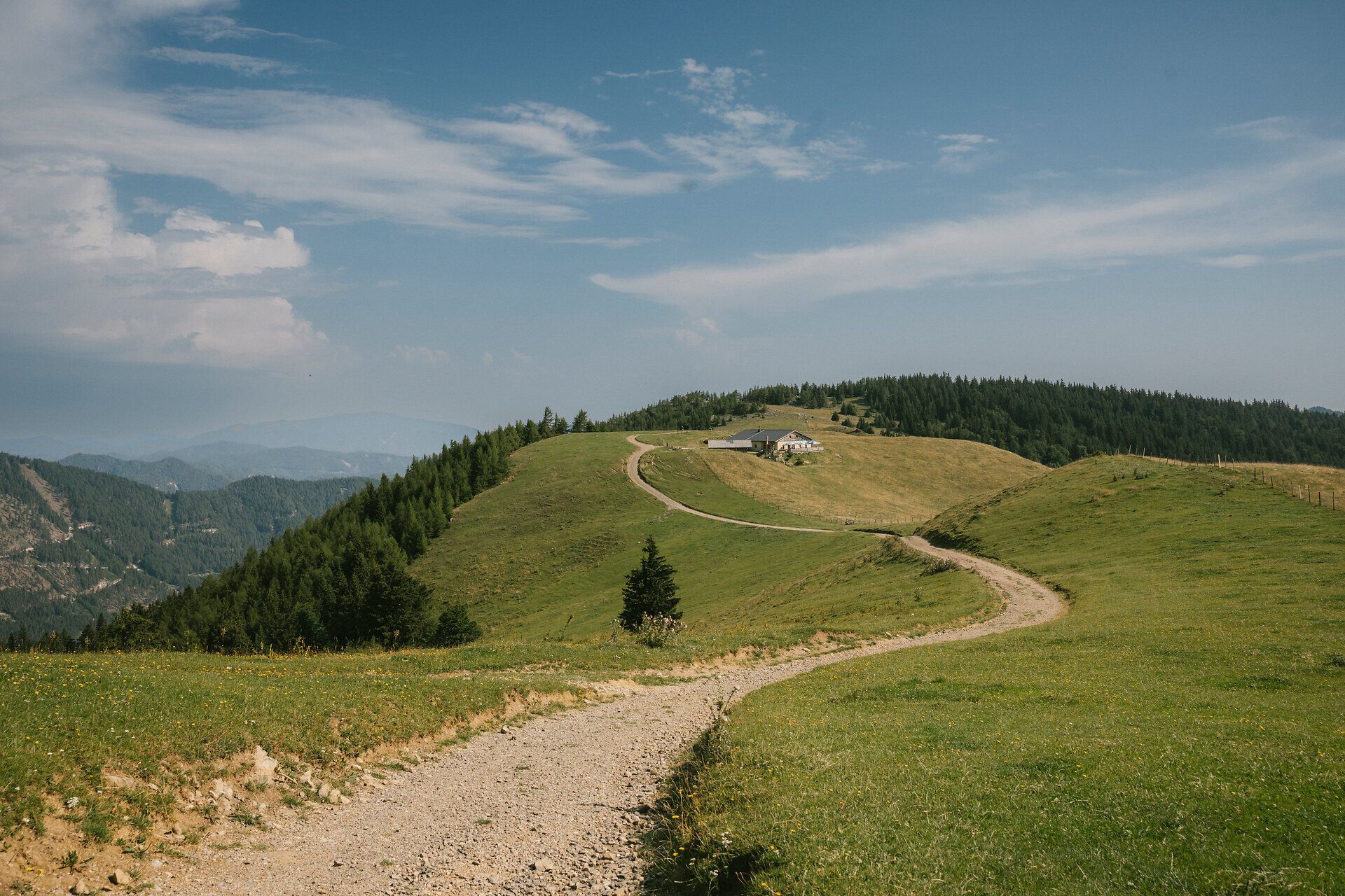 Wanderweg durch die Almwiesen mit Blick auf das Almreserlhaus am Schneeberg