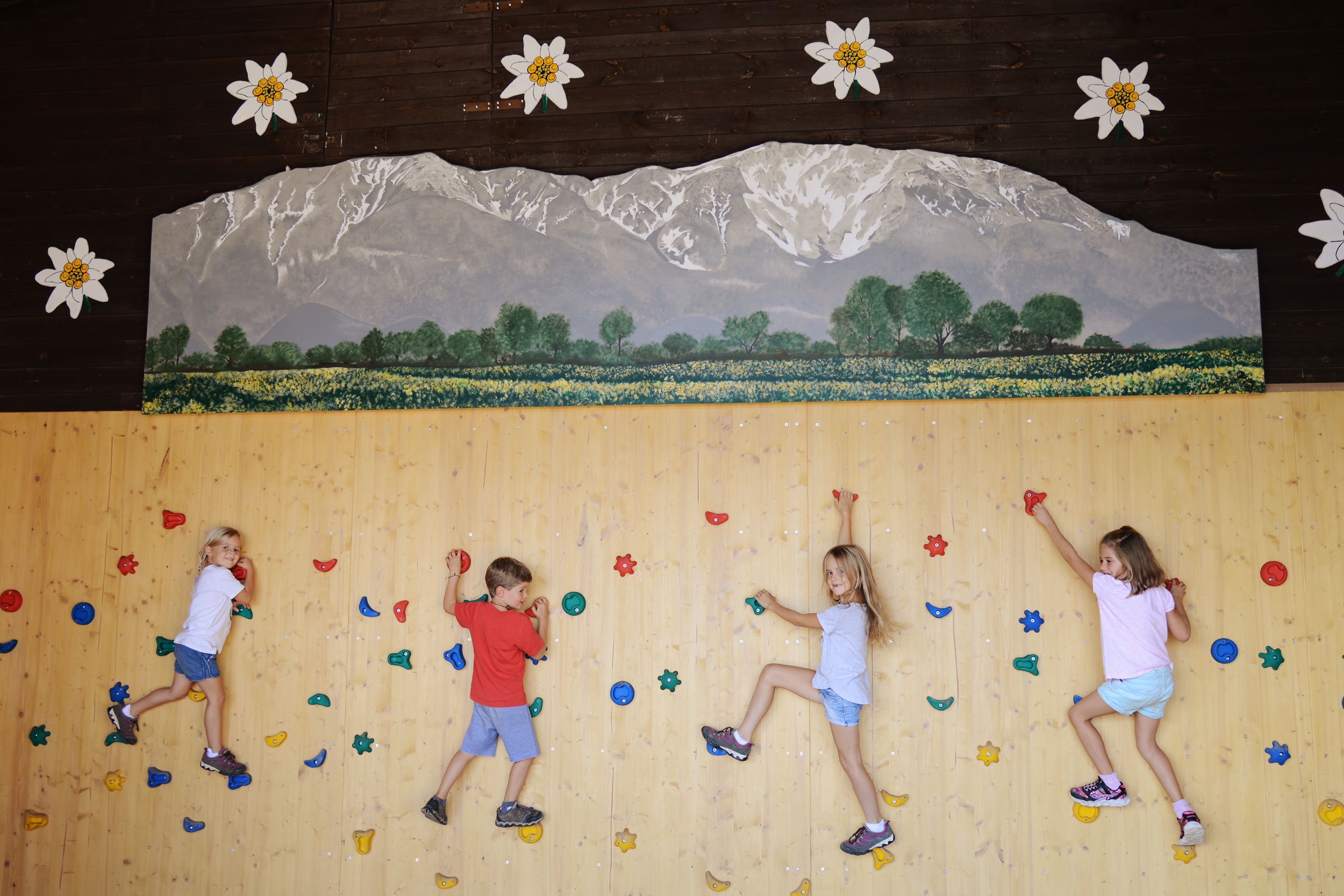 Vier Kinder klettern an einer Holz-Kletterwand mit bunten Griffen vor einer Wand mit Berg- und Blumenmalerei und fünf weißen Edelweiß-Blumen darüber
