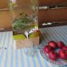 Ein Glasbeh&auml;lter mit Wasser und Kr&auml;utern, daneben ein Glas und ein Teller mit roten &Auml;pfeln auf einem gestreiften Tisch.