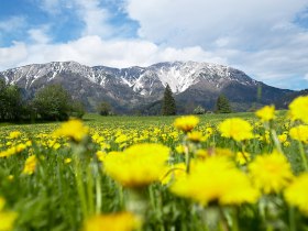 View of the Schneeberg, &copy; &copy;Wiener Alpen, Foto: Franz Zwickl