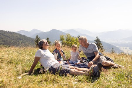 Großeltern picknicken mit den beiden kleinen Enkelkindern in einer Wiese am Schneeberg