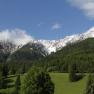 Blick auf schneebedeckte Berge mit gr&uuml;nen W&auml;ldern im Vordergrund und blauem Himmel.