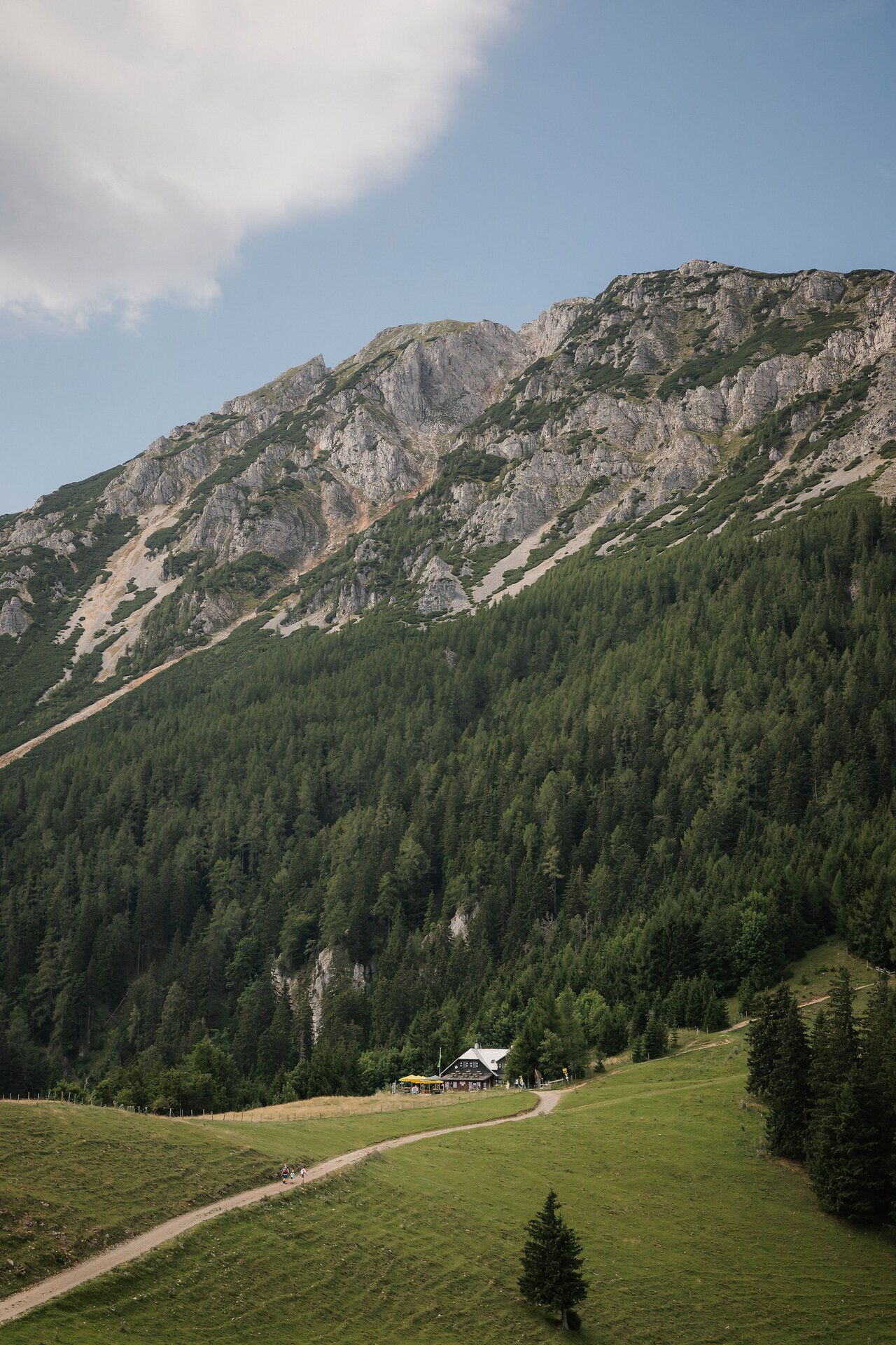 Die Edelweißhütte am Schneeberg eingebettet zwischen Wald und Felsmassiv