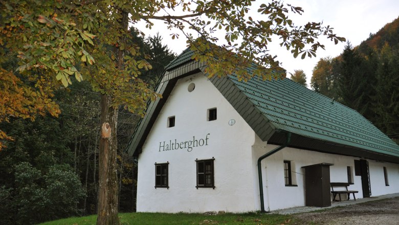 Wei&szlig;es Ferienhaus mit gr&uuml;nem Dach im Wald, beschriftet mit 'Haltberghof'.