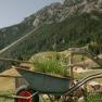 A wheelbarrow filled with plants as decoration, set against a mountain panorama, at the Almreserlhaus on the Schneeberg