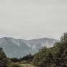 Blick auf den Schneeberg mit gr&uuml;nen B&auml;umen im Vordergrund.