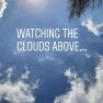 View of the sky with clouds and sun, tree branches at the edge.