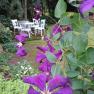 Lila Blumen im Vordergrund, wei&szlig;e Gartenm&ouml;bel im Hintergrund.