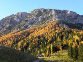 Edelweiss hut, &copy; Wiener Alpen in Nieder&ouml;sterreich