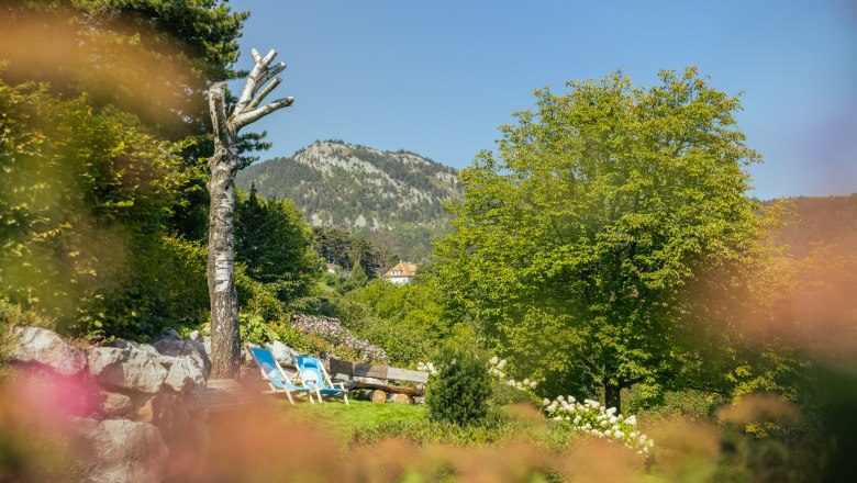 Ein Alpengarten mit Liegest&uuml;hlen, B&auml;umen und einem Berg im Hintergrund.