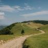 Hiking trail through the alpine meadows with a view of the Almreserlhaus on Schneeberg