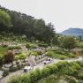 Ein terrassierter Garten mit Steinen, Pflanzen und Sitzbereichen, umgeben von B&auml;umen und Bergen im Hintergrund.