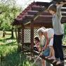 Children playing on a wooden bridge over a pond in a garden.